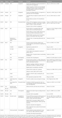 Pathophysiological role of BACH transcription factors in digestive system diseases